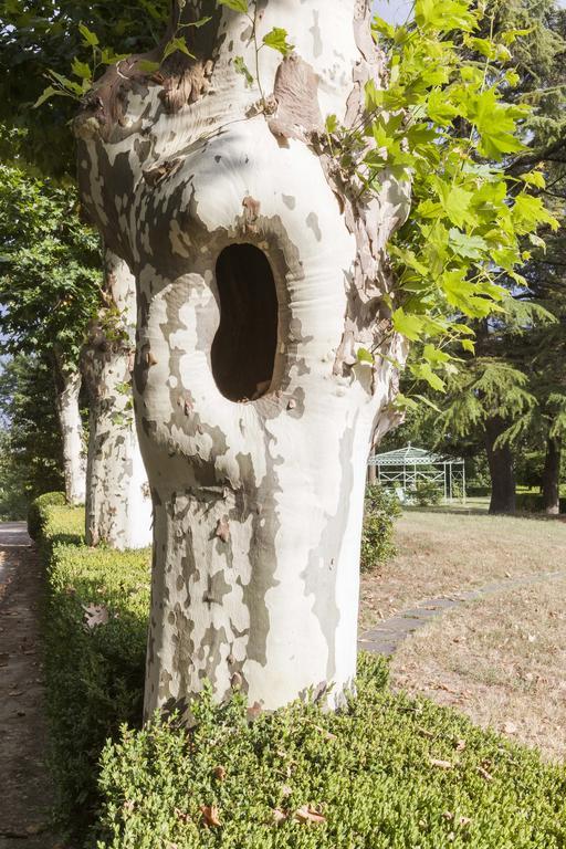 Bricco Pogliani Hotel Castell'Alfero Luaran gambar